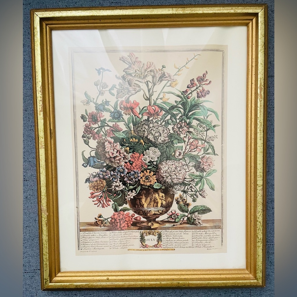 Robert Furber 12 Months of Flowers ~ July (1964) framed 9x11”
